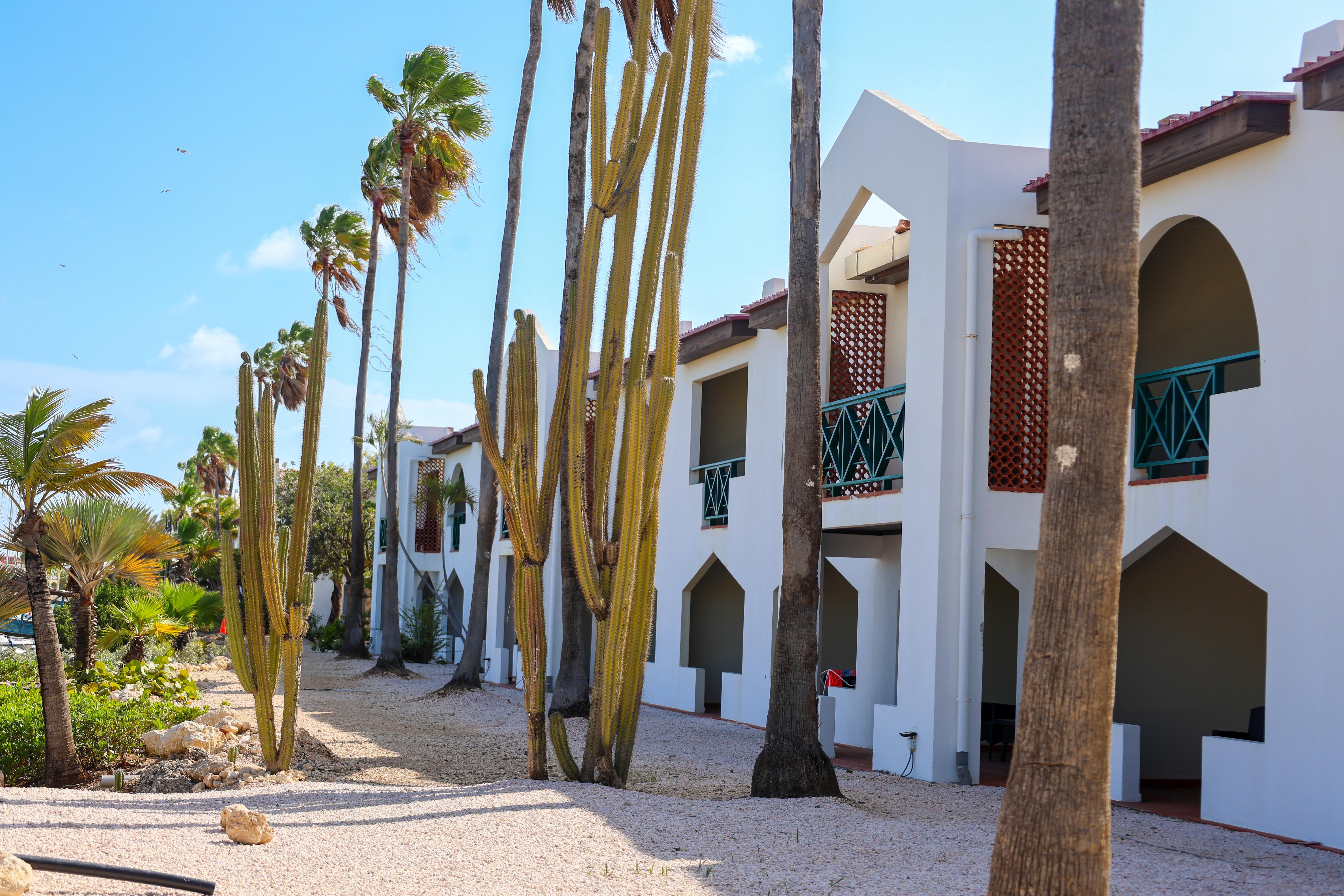 Van Der Valk Plaza Beach & Dive Resort Bonaire Kralendijk  Bagian luar foto
