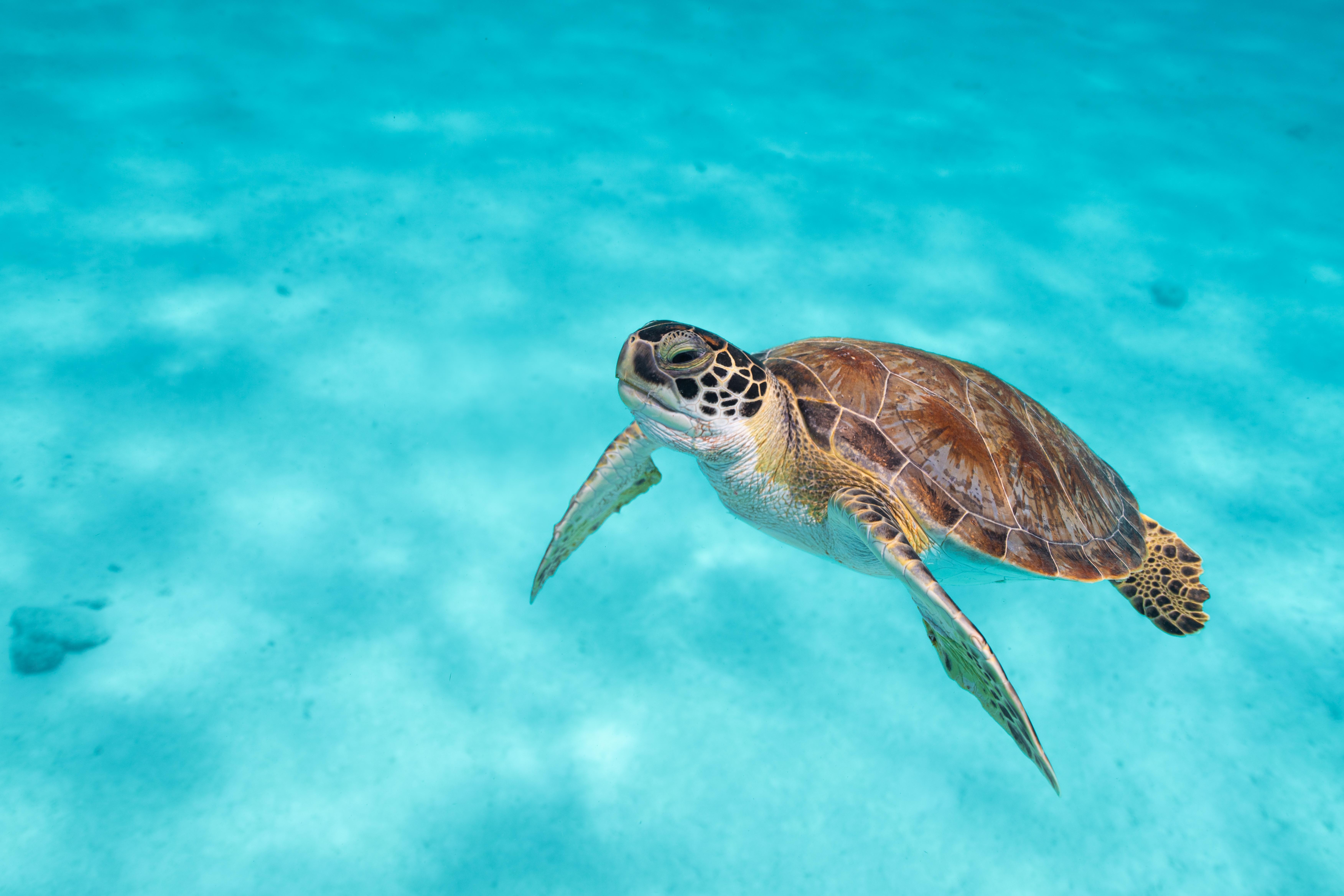 Van Der Valk Plaza Beach & Dive Resort Bonaire Kralendijk  Bagian luar foto